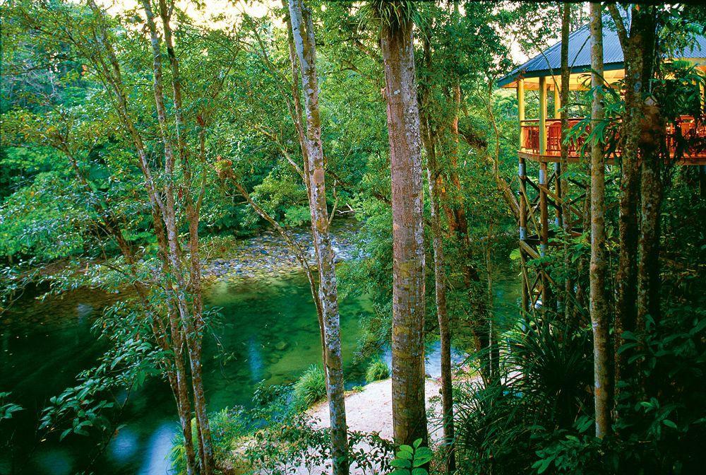 Silky Oaks Lodge Mossman Ngoại thất bức ảnh